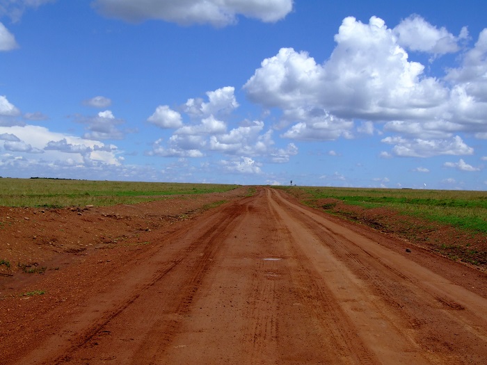 nice road in masai mara